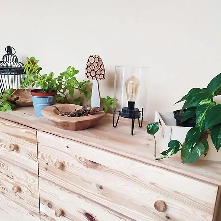 Bucka-lak Apartahotel